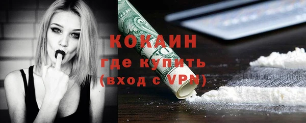 PSILOCYBIN Пересвет