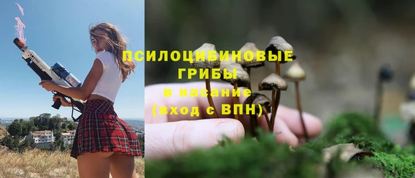 соль курить ск Пестово