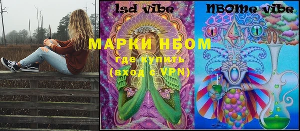PSILOCYBIN Пересвет