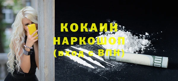 PSILOCYBIN Пересвет