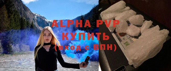 PSILOCYBIN Пересвет