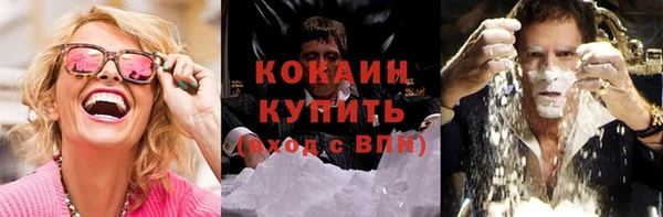 PSILOCYBIN Пересвет