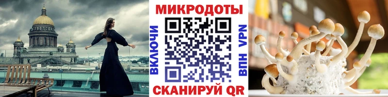 Псилоцибиновые грибы GOLDEN TEACHER продажа наркотиков Краснообск